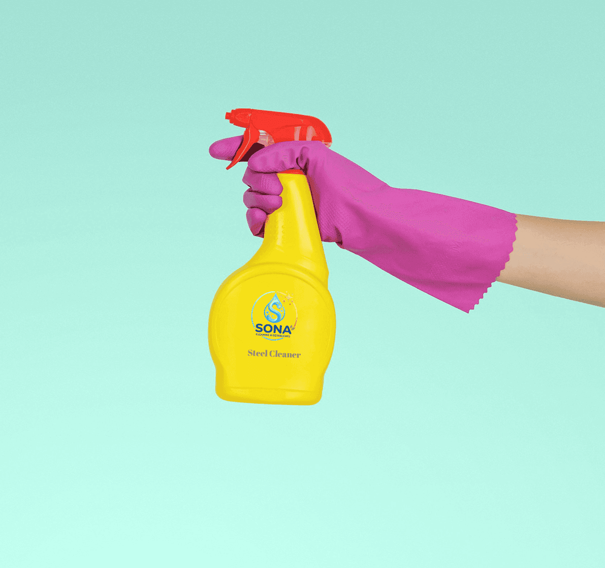 Sona Stainless Steel Cleaner — Spray — Case of 12 × 500ml